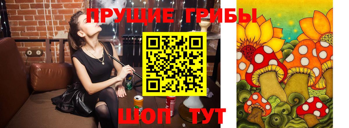 Галлюциногенные грибы прущие грибы  Вход с VPN  Гулькевичи 